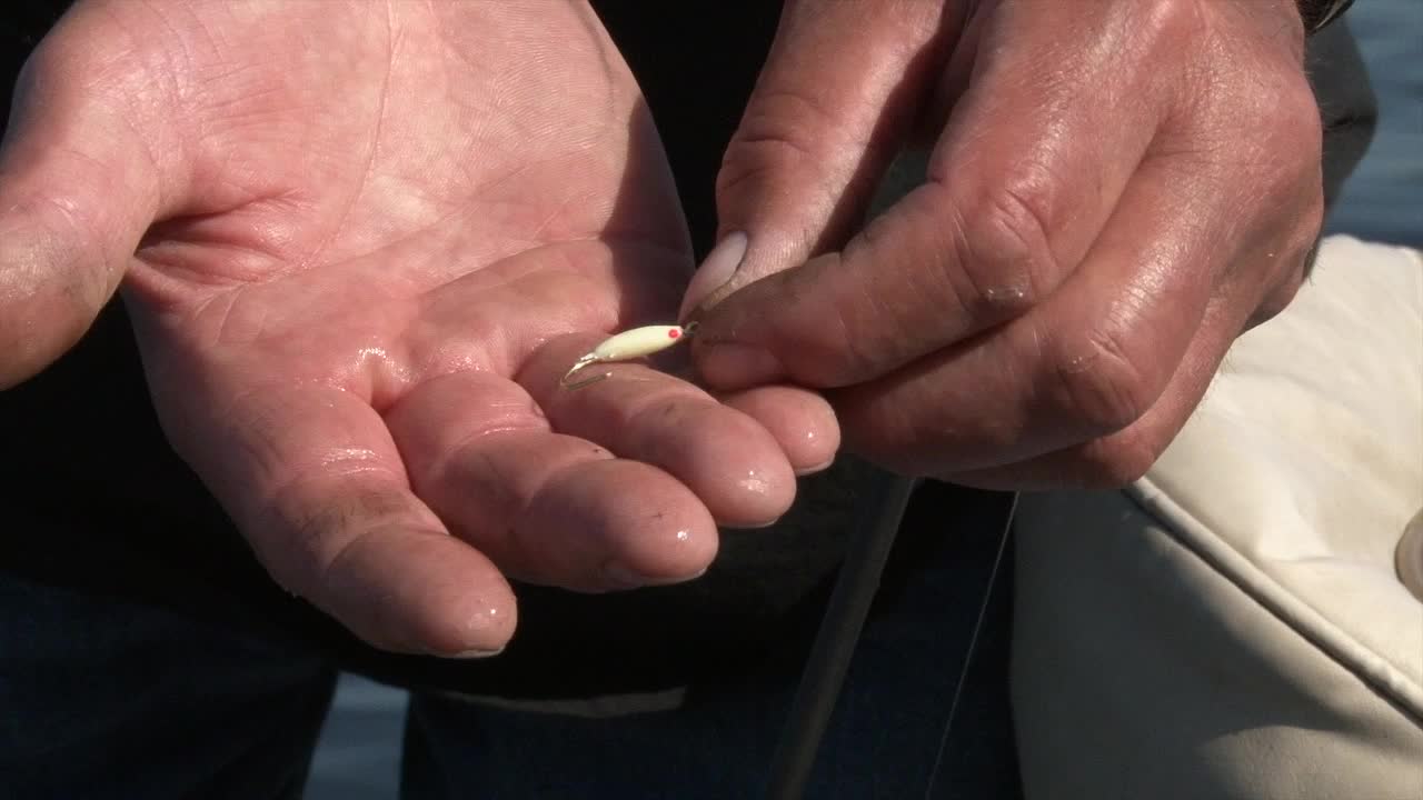 남자 의 손 에 잡힌 갈고리 - 근접 사진