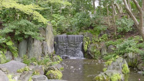 stunning waterfall in slow motion inside japanese landscape garden