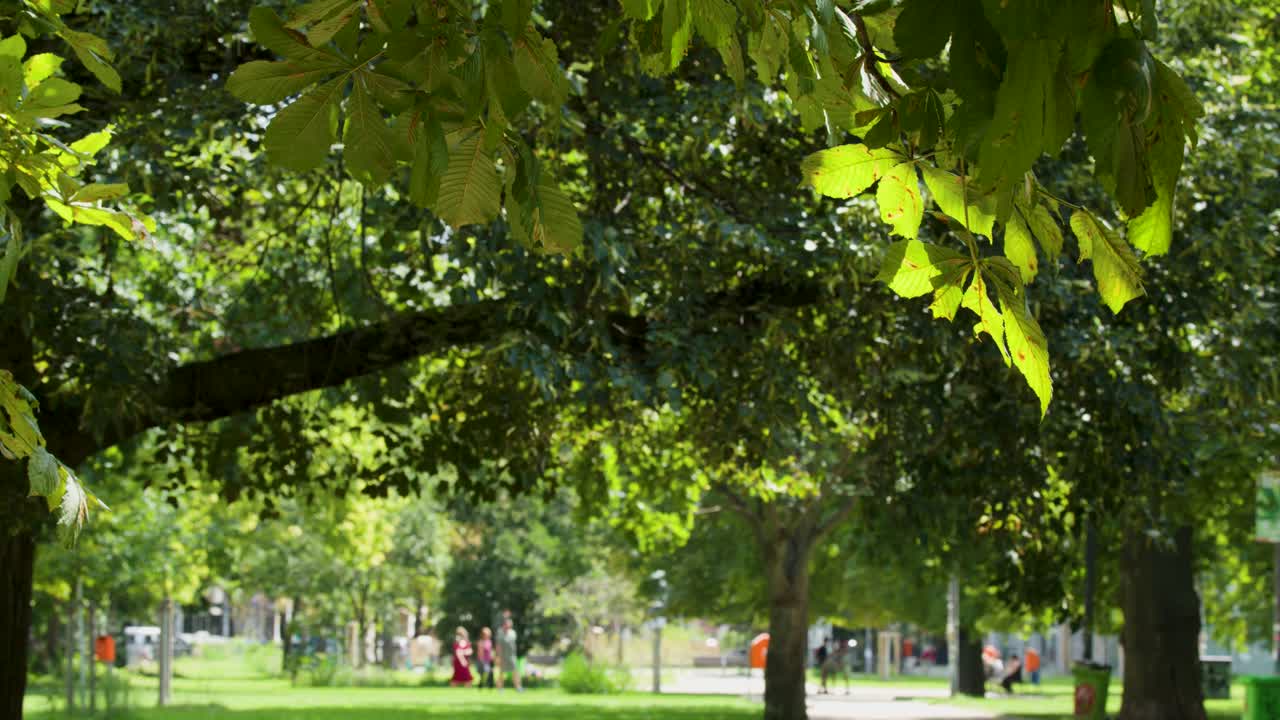 Lush green park in Berlin with leafy trees, dappled sunlight, and people walking outdoors