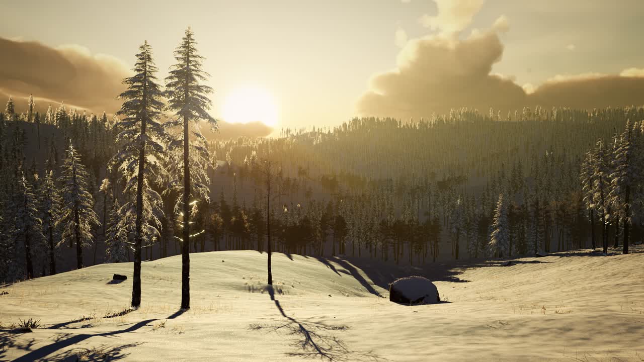 paisaje de invierno en una puesta de sol