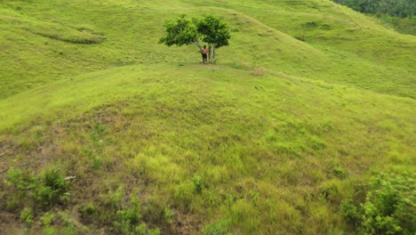 A-Shirtless-Young-Man-Making-A-Salute-As-A-Sign-Of-Peace-Standing-Under-A-Tree-On-A-Grassy-Hilltop-In-Tomas-Oppus,-Southern-Leyte,-Philippines