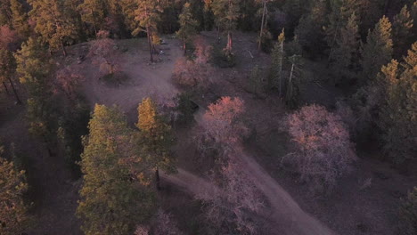 Vehículo-4x4-Que-Conduce-Al-Campamento-Forestal-Remoto,-Vista-Aérea