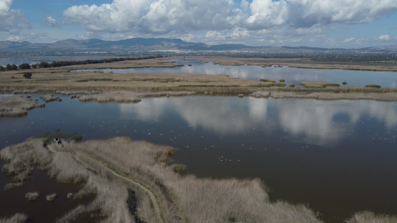 Bird observatory in the marshes of El Hondo Natural Park, a bird sanctuary. Elche, Spain