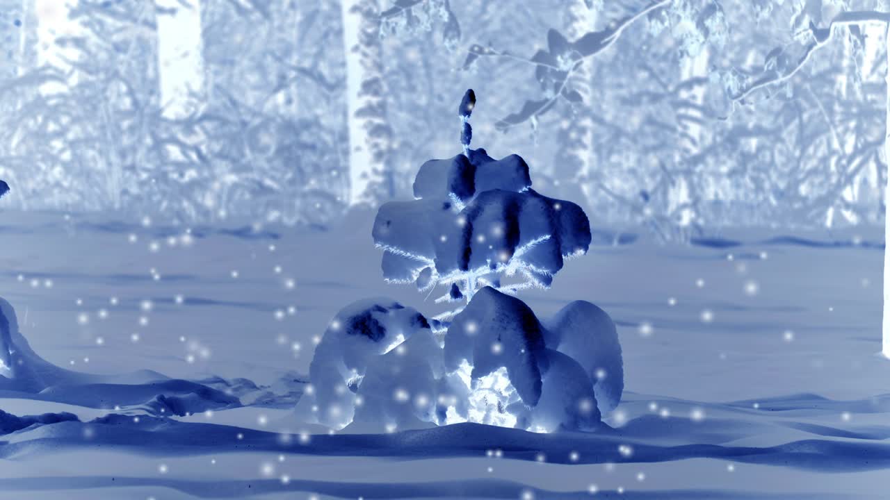 árboles del bosque en la nieve por la noche en invierno.