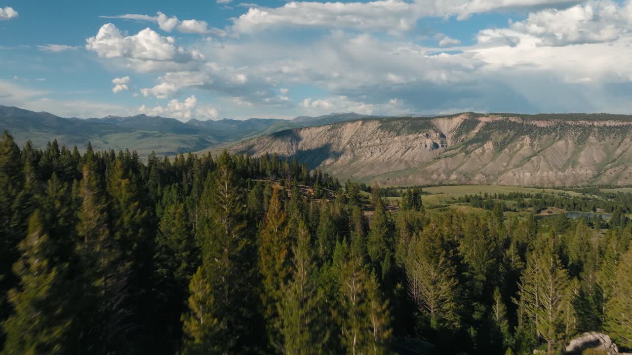 Aerial drone flying through tall green trees and rocky hills to reveal vast Montana mountain range