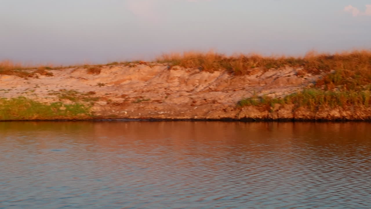 un crucero en barco por el lado namibio del río zambezi en verano en la región de caprivi strip-zambezi al atardecer