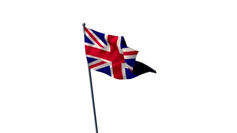 bandera de la unión contra un fondo blanco