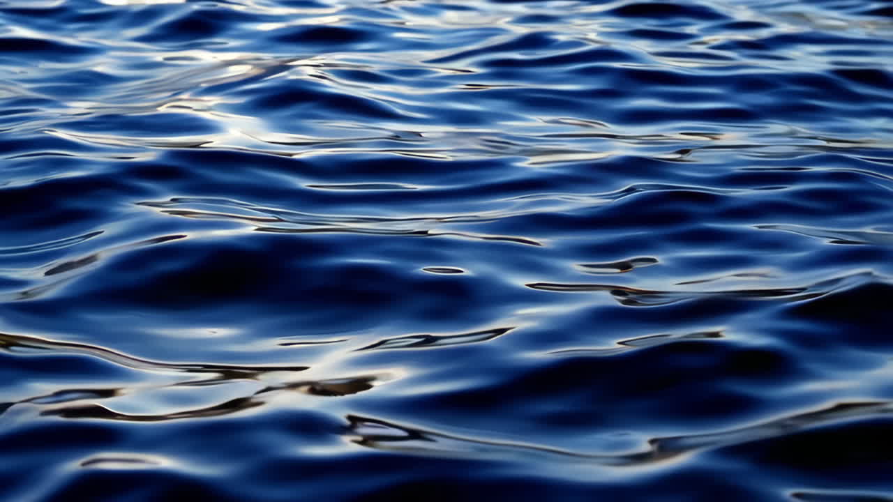 물 표면의 파동