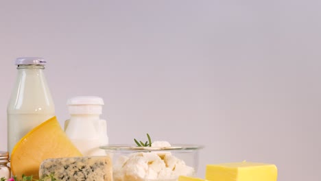 variedad de productos lácteos