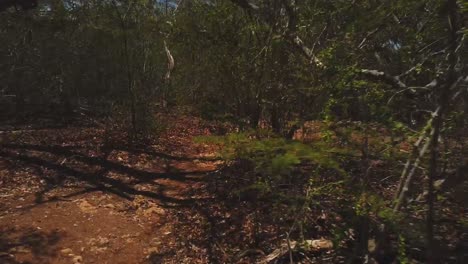 timelapse footage of the trail to get to the blue room cave natural wonder of the world on the island of curacao