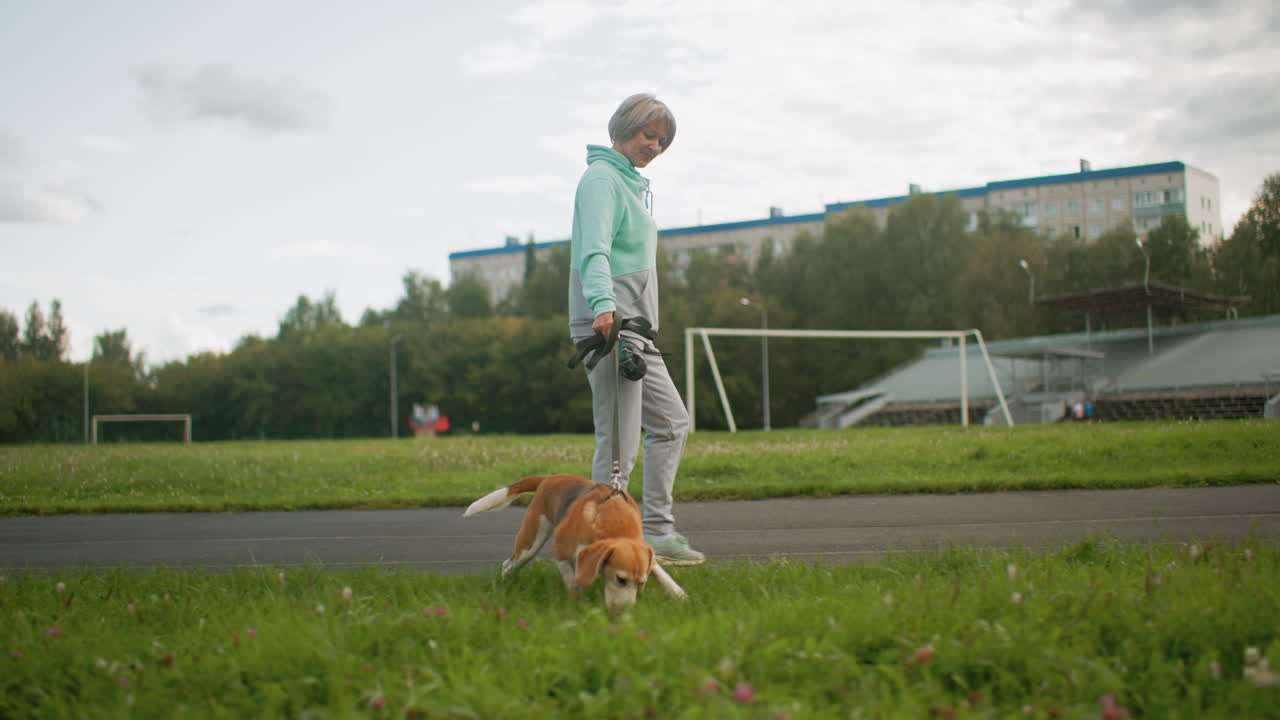 Sports woman in casual sportswear walking energetic dog along park lane on sunny day, surrounded by green grass, soccer fields, and trees, peaceful urban atmosphere perfect for outdoor exercise