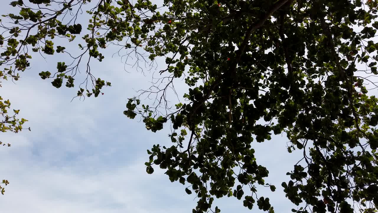 Timelapse of a busy pier in Phuket Thailand.