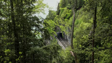 mountain road with tunnel through forest