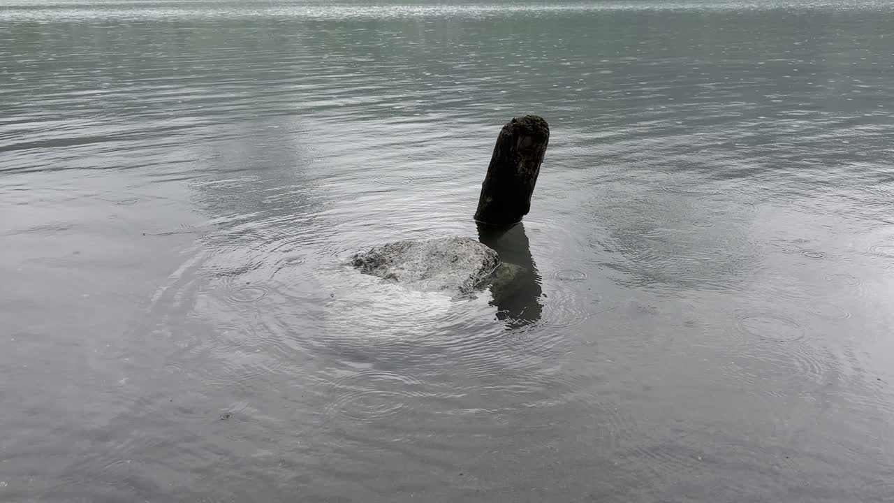 월렌시 호수 연안 에 있는 거대 한 바위 가 평온 한 물 에 잠겨 있다