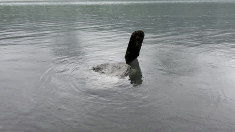 Huge-rock-on-shore-of-Walensee-lake-submerged-in-calm-waters