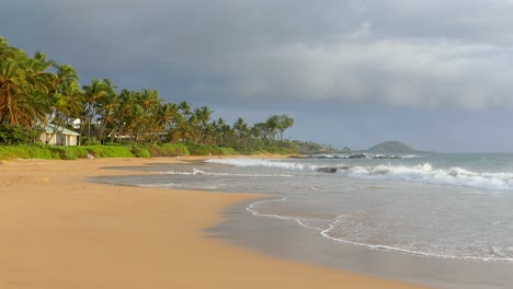 tropical beach with palm trees and cloudy sky