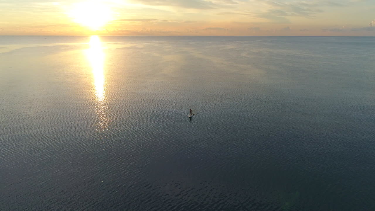 Surfing Seas