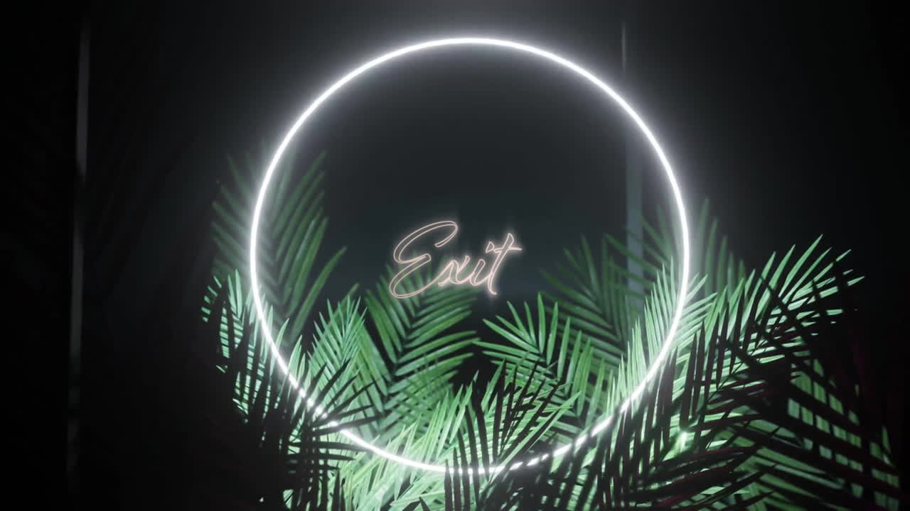 Hoạt ảnh chữ "exit" trên khung đèn neon và lá nhiệt đới trên nền đen