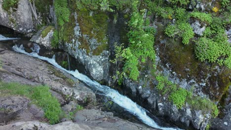 Río-Que-Fluye-En-El-Fondo-De-Un-Barranco-Con-Musgo-Y-Vegetación-Adherida-A-Las-Rocas.