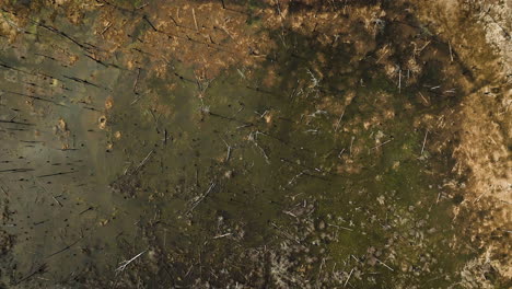 the point remove wildlife area, blackwell, ar with vibrant wetland textures, aerial view