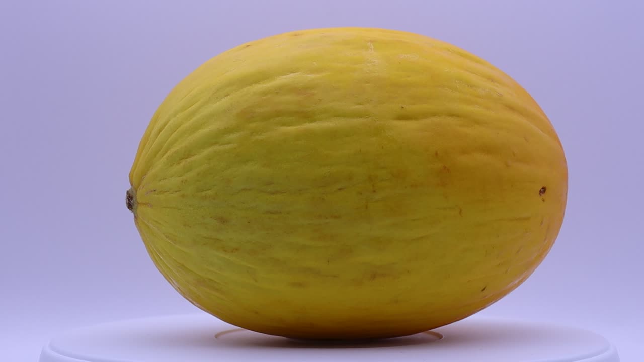 melón amarillo canario aislado sobre un fondo blanco