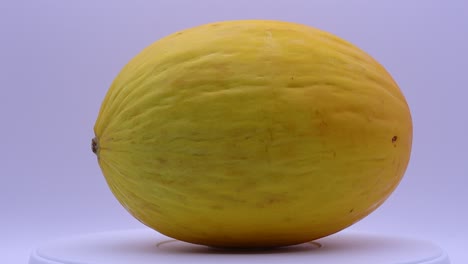 Kanarische-Gelbe-Melone-Isoliert-Auf-Weißem-Hintergrund