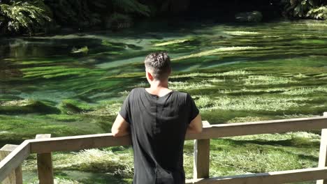 caucasian man standing by putaruru blue spring, new zealand