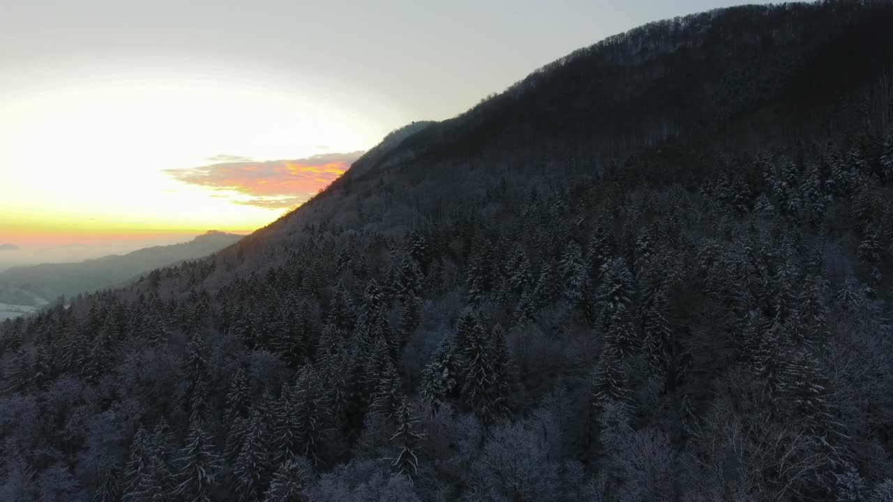 paisaje de los alpes del amanecer en la cordillera boscosa de pohorje pinos cubiertos de nieve, escarcha escénica hermoso destino de viaje en eslovenia