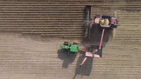 Top-Down-View-of-Combine-Harvester-and-Tractor-Collecting-Soybeans-on-Farm