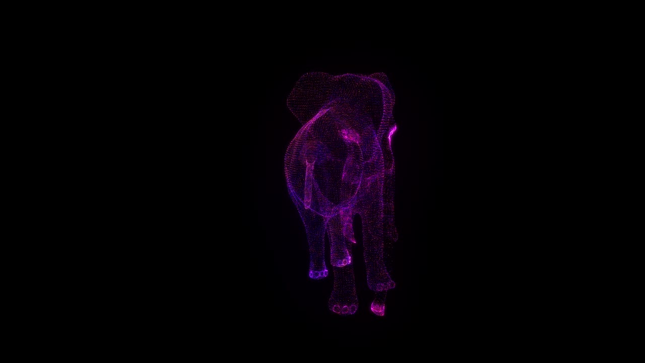 elephant rgb holograma wireframe. buena animación 3d en un fondo negro con un bucle sin costuras para proyectos de futurismo