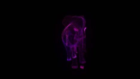 elephant rgb hologram wireframe. nice 3d animation on a black background with a seamless loop for futuristics projects