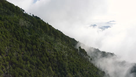 Luftaufnahme-Eines-Dollys-Entlang-Reichhaltiger-Vulkanischer-Erde-Mit-Bäumen-Und-Sträuchern,-Während-Nebelwolken-über-Den-Wald-Ziehen