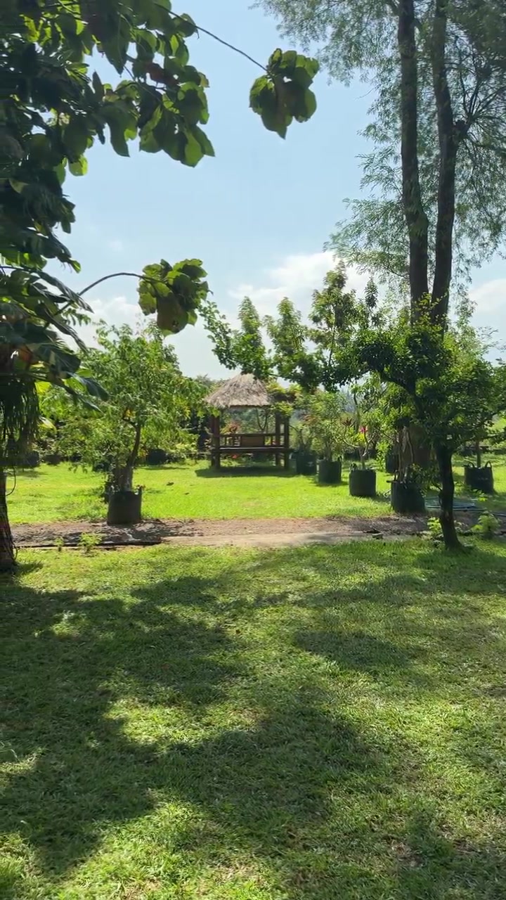Paisaje de jardín exuberante con árboles y cenador tradicional