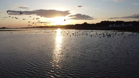 Vögel-Beobachten-Drohnenaufnahme-In-Portugal