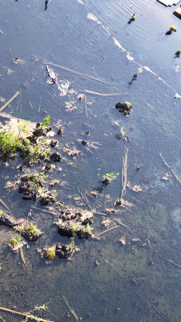 High angle drone shot captures tourists paddling kayaks through clear shallow water in tropical swamp