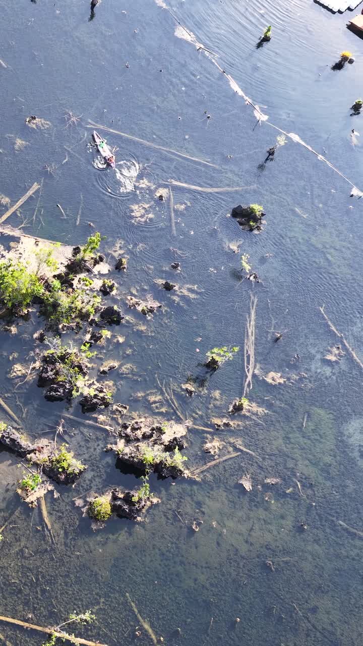 High angle drone shot captures tourists paddling kayaks through clear shallow water in tropical swamp