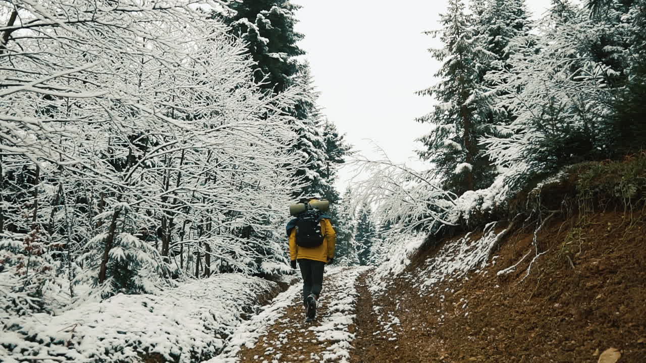 Backpacker Hiking Through Snowy Forest in Winter