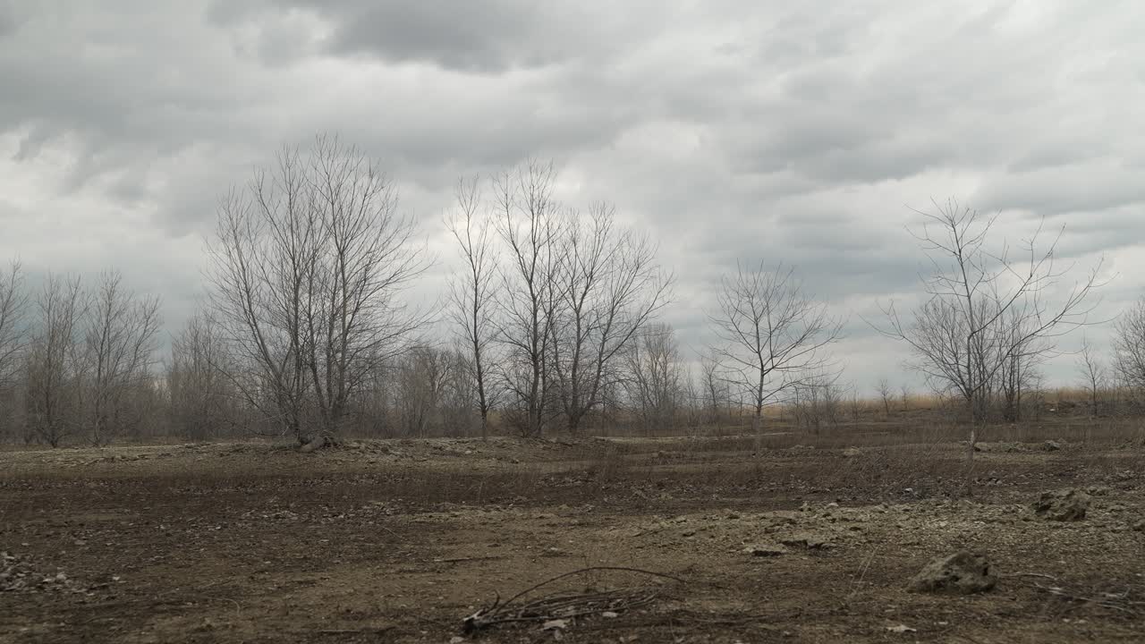 - nubes, paisaje, árboles, árbol, viento, solo, nublado, nublado, cielo gris, rocas, rocoso, desierto, desierto, medio oriente, medio oriente, paisaje, desierto