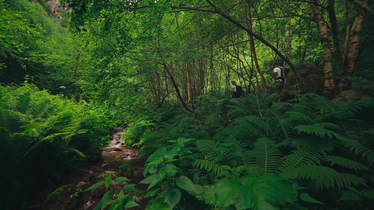 Small creek flows through a lush fern-filled forest as two hikers pass by at the edge of the frame, capturing tranquil nature and subtle outdoor adventure.