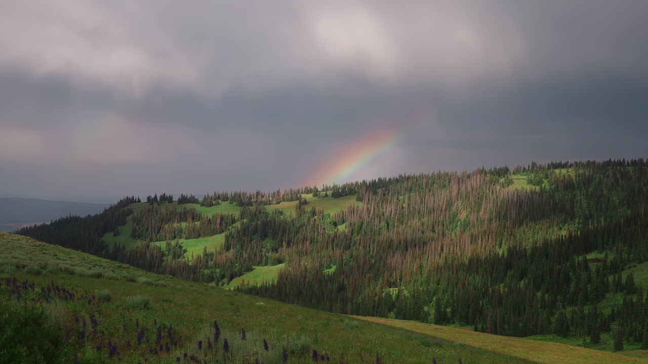 Dense Forest Mountains With Rainbow And Clouds In The Background. Timelapse
