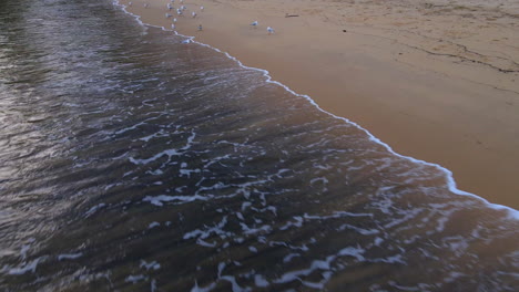 Vuelo-De-Drones-Sobre-Olas-Blancas-Que-Lamen-Una-Playa-Sobre-Gaviotas-Y-Playa-De-Arena