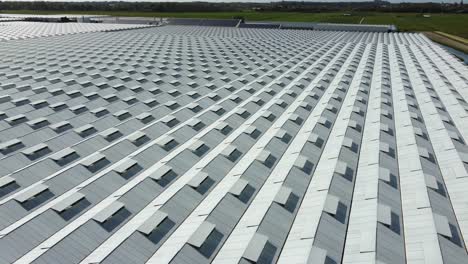 thousands of greenhouses, where they grow plants, vegetables, fruits and flowers in a green and sustainable way with high tech technology in the netherlands.