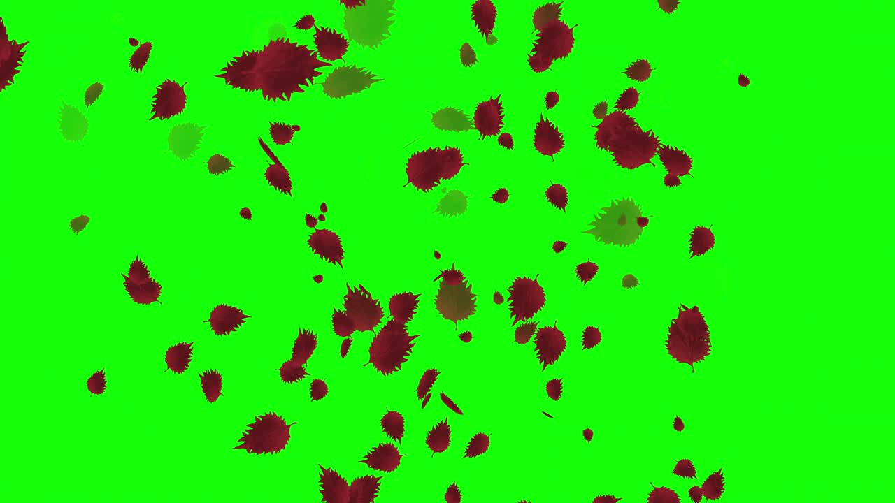 떨어지는 잎의 애니메이션 루프 가을