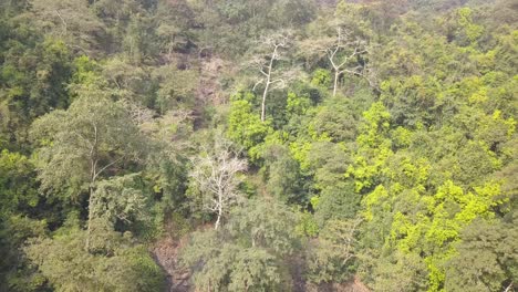 Green-Lush-Foliage-On-The-Mountains-Of-Mainapi-Waterfall-In-Netravali-Taluka-Of-South-Goa,-India