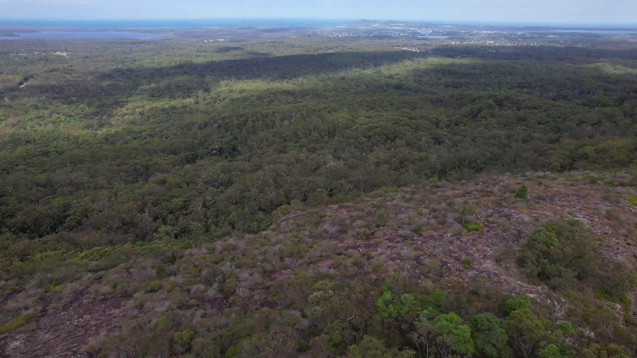 Tewantin Forest Reserve, Tropical Forests In Queensland, Australia - Aerial Shot