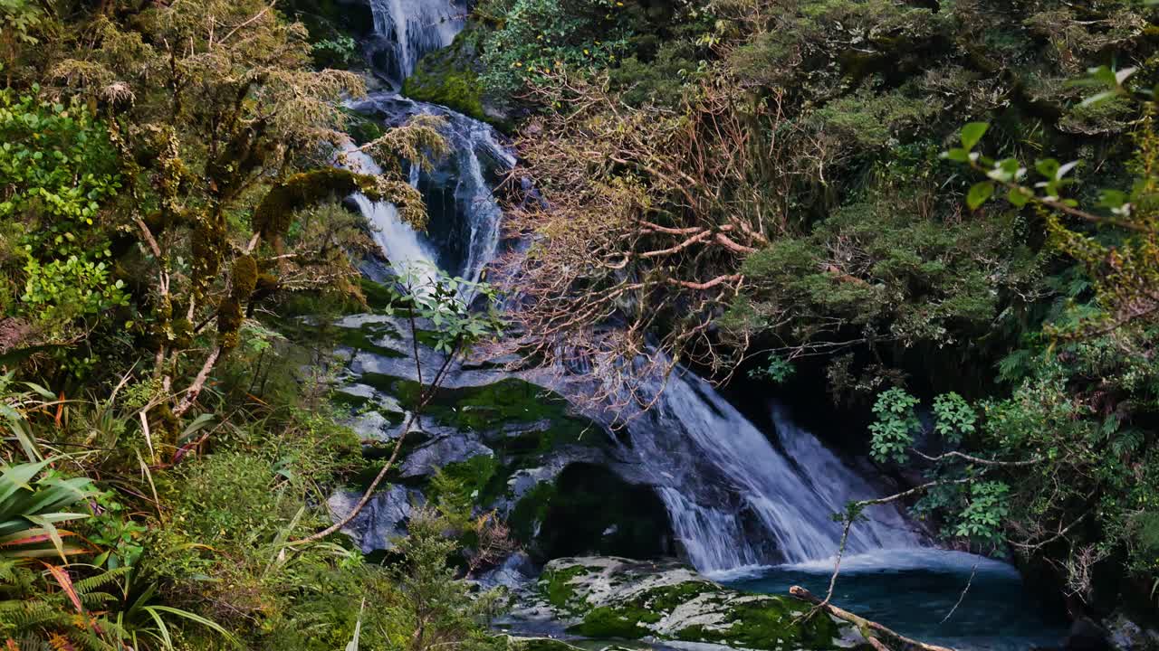 cascata nascosta nel profondo della fitta foresta pluviale