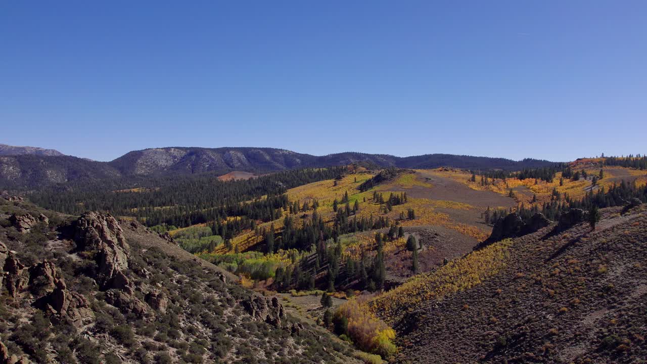 tomada de aviones no tripulados de colores de otoño en un prado en el condado de mono, california - caída en las hojas de otoño cambiantes en la sierra oriental