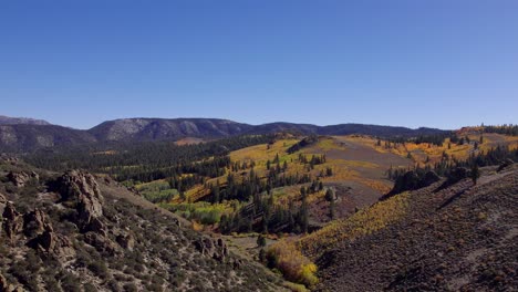 Drone-Shot-of-Fall-Colors-in-a-Meadow-in-Mono-County,-California---Drop-into-the-changing-fall-leaves-in-the-Eastern-Sierra