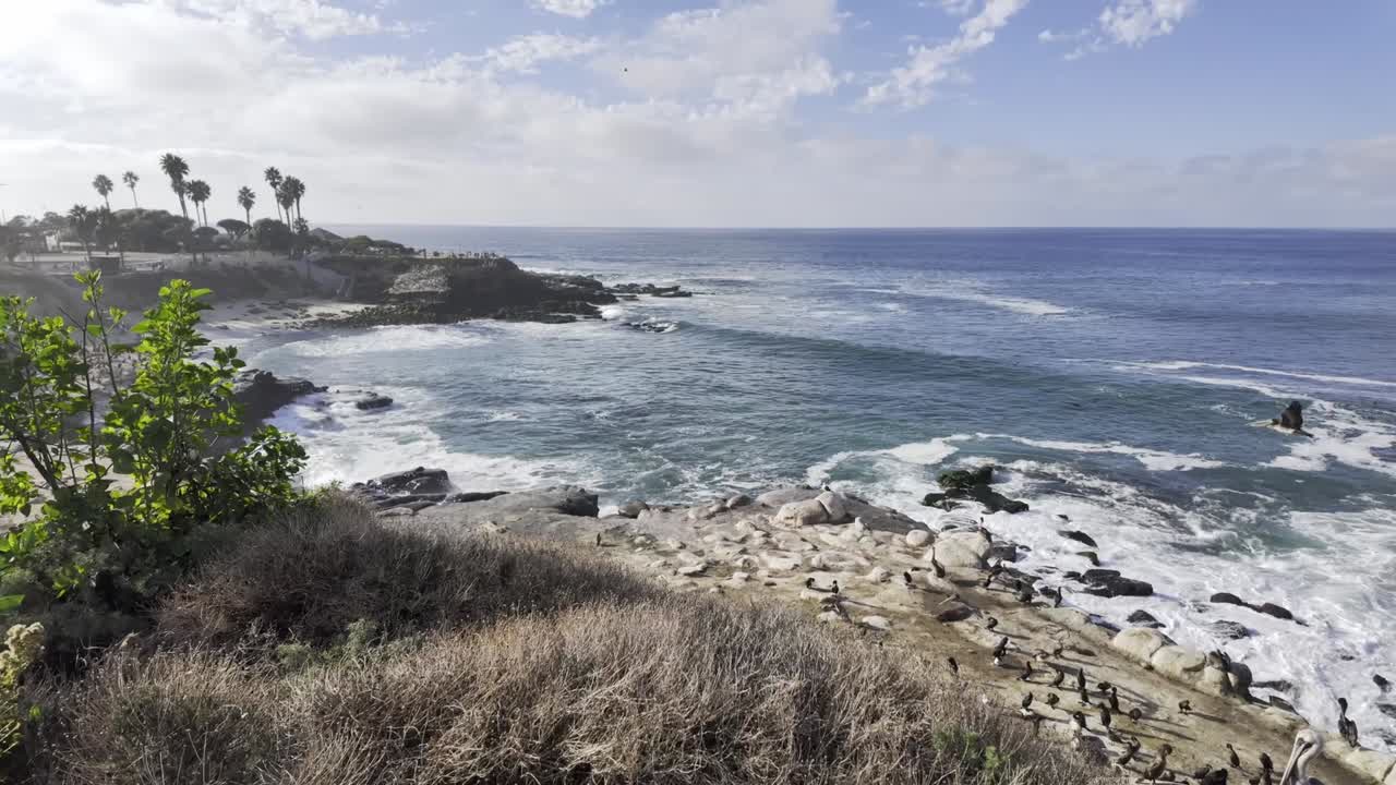 Coastal view of Pelicans flying by on the shores of La Jolla Ca near San Diego with waves crashing and cloudy blue skies