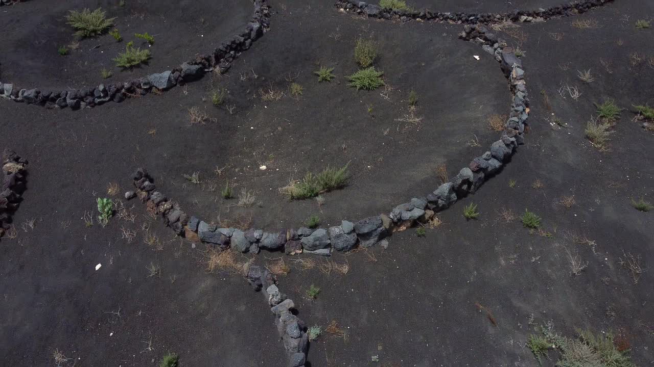 Funnel-Shaped Vineyard At The La Geria Valley In Lanzarote Island In Spain. aerial